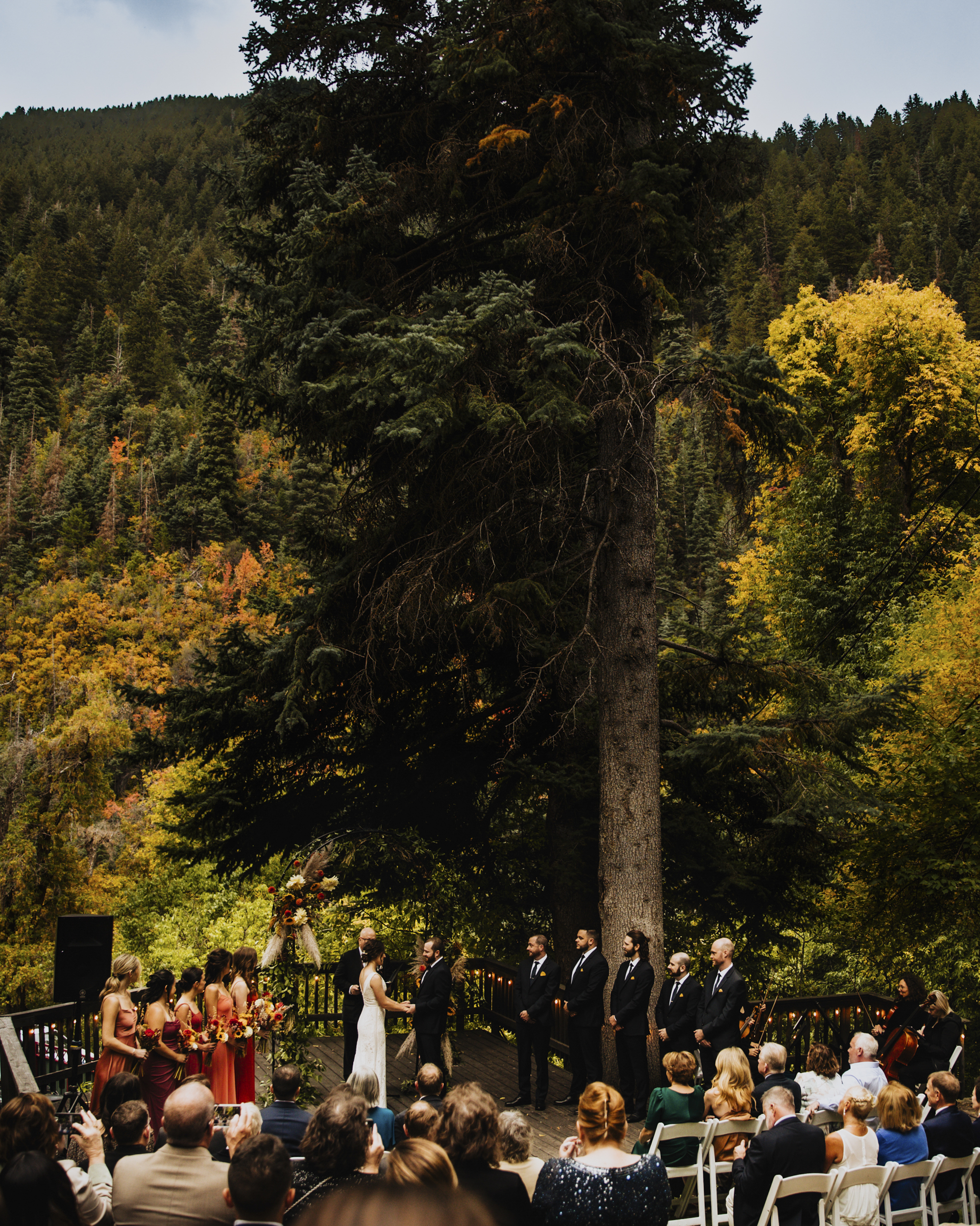 Cecelia Harvard Photography(1)