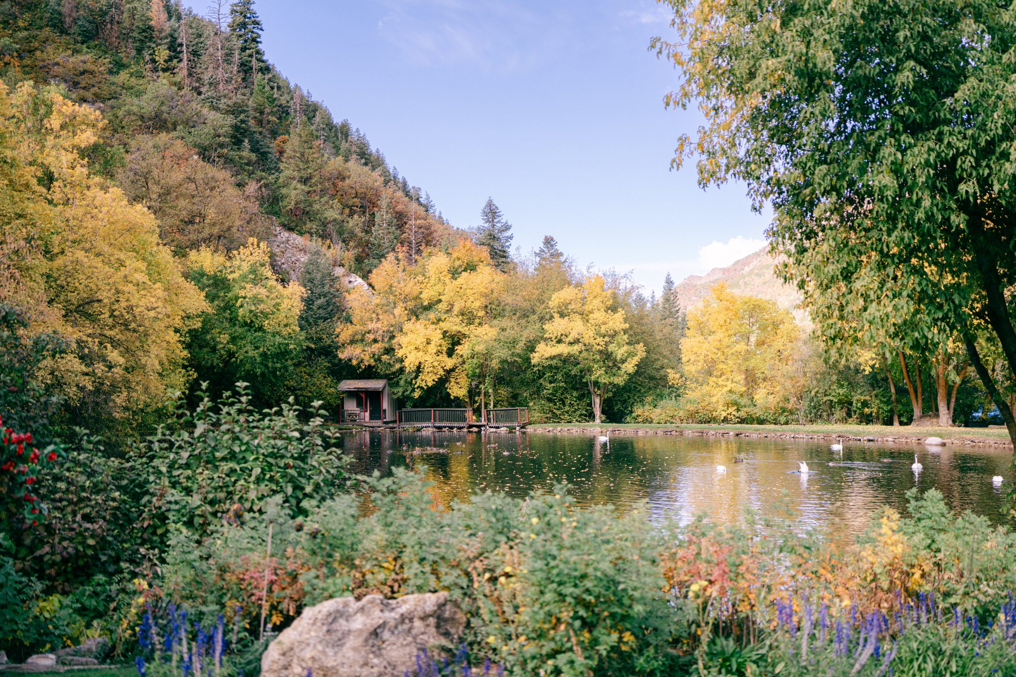 destination wedding venue in utah - log haven