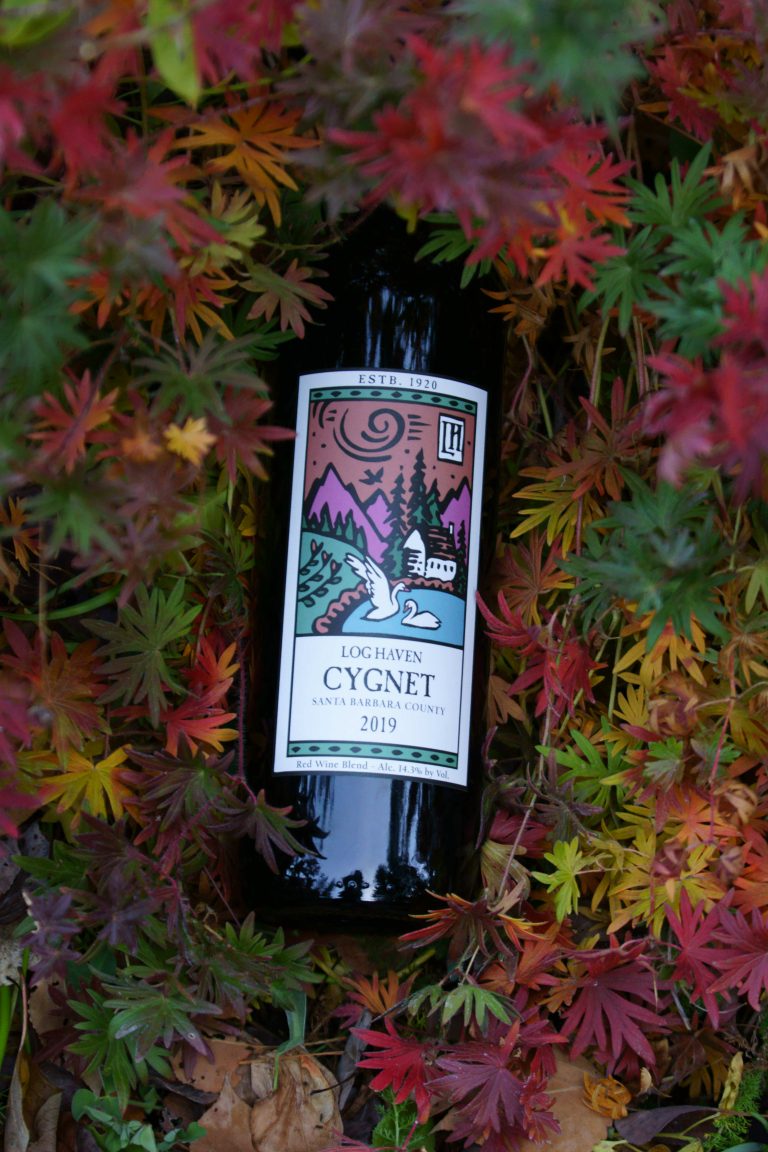 wine in the fall/autumn
